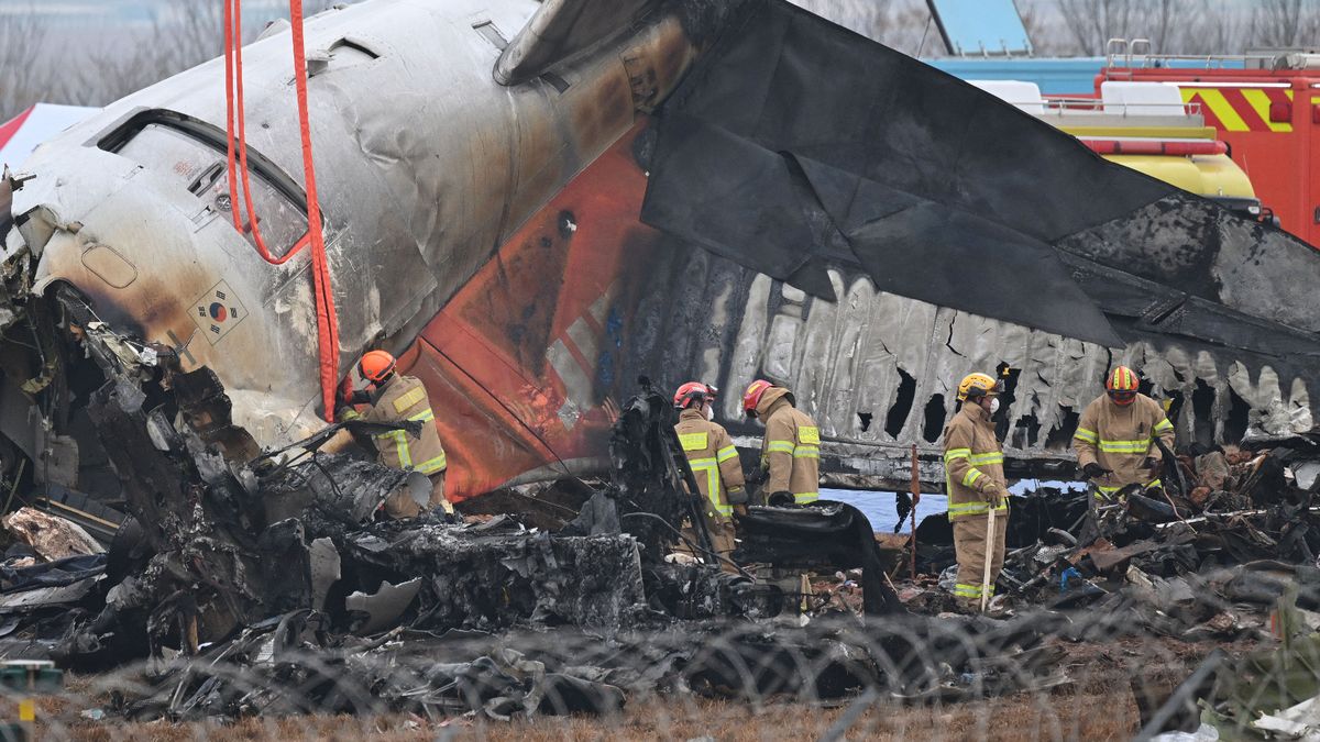 Plane crash in south korea